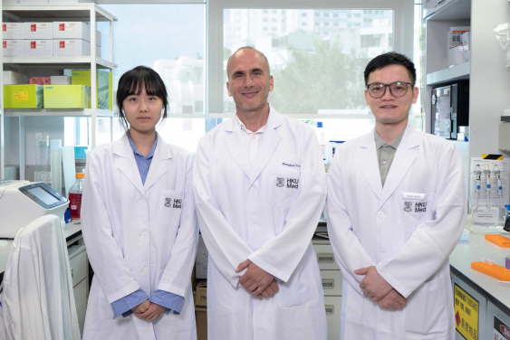Professor Ralf Jauch (centre), the School of Biomedical Sciences, HKUMed, and his research team have developed an innovative method to transform blood and skin cells into neural stem cells, overcoming limitations of current stem cell research techniques which will help enhance the understanding and treatment for age-related diseases.
 